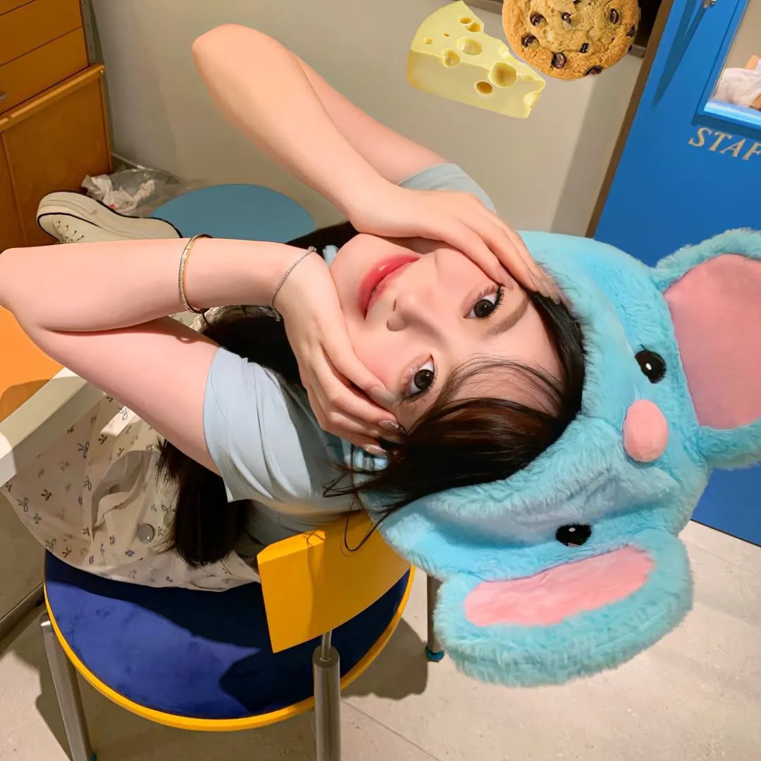 季先生芯之所属